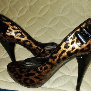High heel Steve Madden shoe